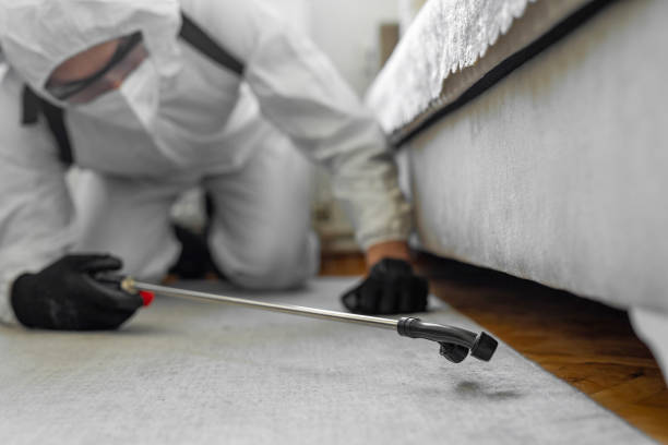 Professional Bed Bug Control technician working in The Villages, FL