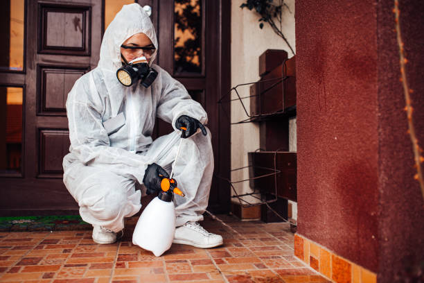 Reliable Bed Bug Control contractor in The Villages, FL by Nex Pest Control