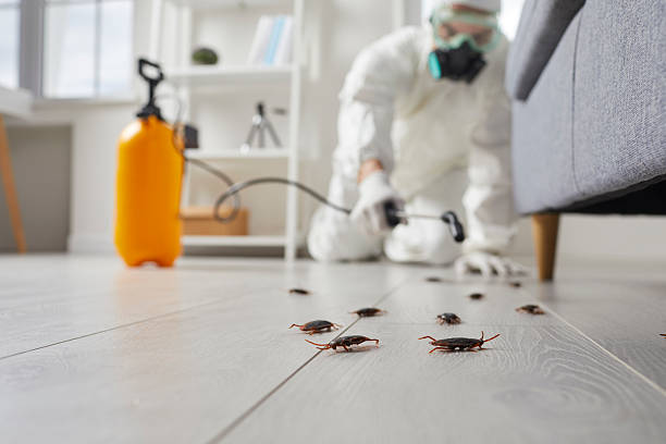 Trusted Fumigation Services service in The Villages, FL - Nex Pest Control