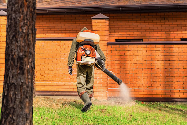 Trusted Bed Bug Control service in The Villages, FL - Nex Pest Control